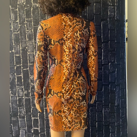 Mesh Dress - Picture 5 of 6